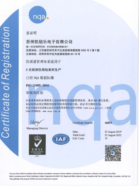 13485中文版资质证书